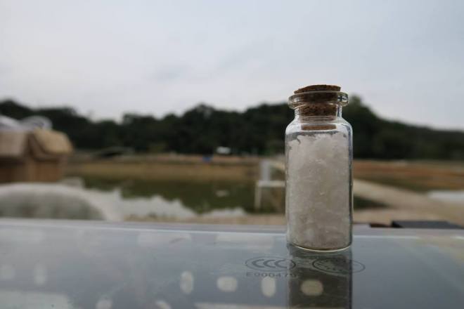 18217240_10155053220342293_2145149478_n